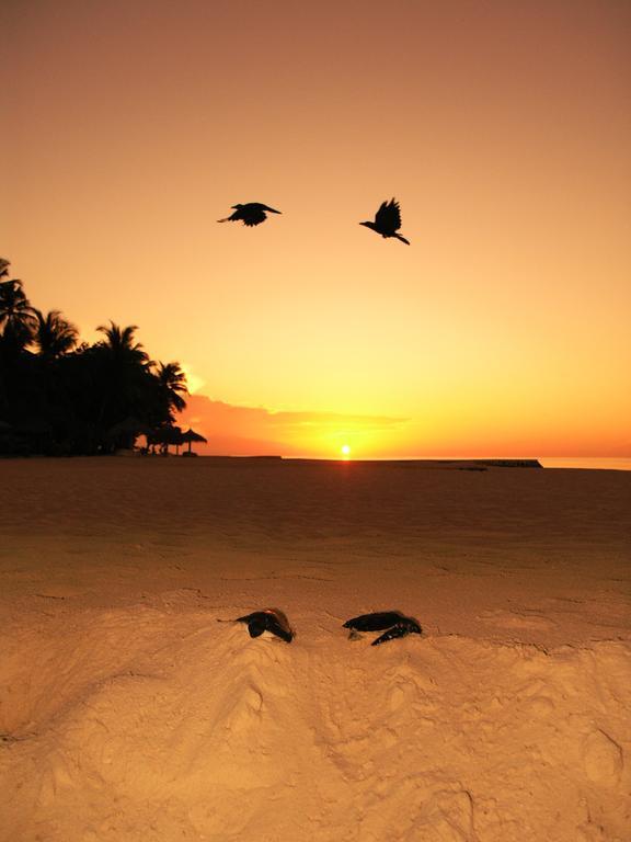 Blue World Dharavandhoo Luaran gambar