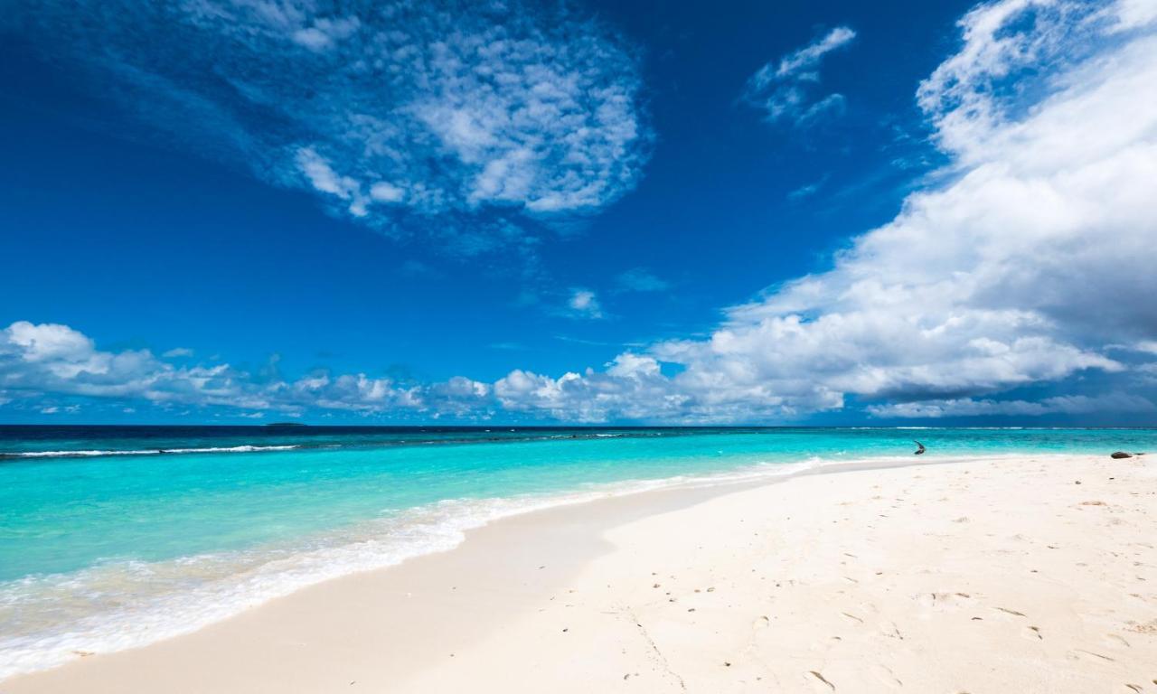 Blue World Dharavandhoo Luaran gambar