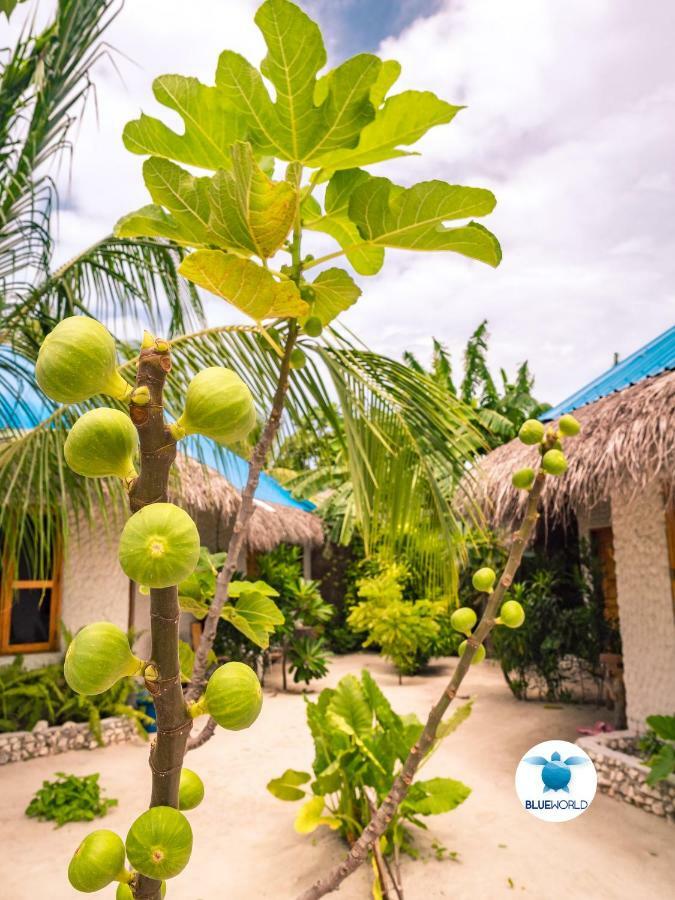 Blue World Dharavandhoo Luaran gambar